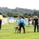 RRS_Fotogalerien_2010-06-27_Dog_Day025