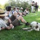 RRS_Fotogalerien_2010-06-27_Dog_Day080