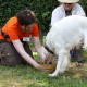 RRS_Fotogalerien_2010-06-27_Dog_Day094