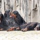 RRS_Fotogalerien_2010-09-26_PlayandPractice019