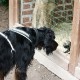 RRS_Fotogalerien_2011-06-26_Wildpark005
