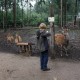 RRS_Fotogalerien_2011-06-26_Wildpark013
