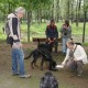 RRS_Fotogalerien_2011-06-26_Wildpark060