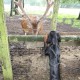 RRS_Fotogalerien_2011-06-26_Wildpark069