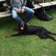 RRS_Fotogalerien_2011-06-26_Wildpark097