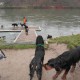 RRS_Fotogalerien_2011-12-31_Silvesterspaziergang002