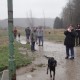 RRS_Fotogalerien_2011-12-31_Silvesterspaziergang016