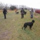 RRS_Fotogalerien_2011-12-31_Silvesterspaziergang074