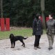 RRS_Fotogalerien_2012-01-29_Gnomengang22