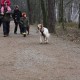 RRS_Fotogalerien_2012-01-29_Gnomengang38