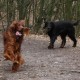 RRS_Fotogalerien_2012-03-11_Schnitzeljagd008