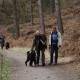 RRS_Fotogalerien_2012-03-11_Schnitzeljagd013
