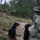 RRS_Fotogalerien_2012-03-11_Schnitzeljagd016