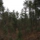RRS_Fotogalerien_2012-03-11_Schnitzeljagd020