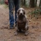 RRS_Fotogalerien_2012-03-11_Schnitzeljagd047
