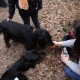 RRS_Fotogalerien_2012-03-11_Schnitzeljagd055