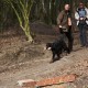 RRS_Fotogalerien_2012-03-11_Schnitzeljagd091