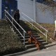RRS_Fotogalerien_2012-04-01_Mantrailing039