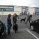 RRS_Fotogalerien_2012-04-01_Mantrailing048