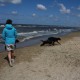 2012-07-29 RRS Holland Hundestrand_096