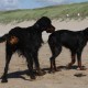 2012-07-29 RRS Holland Hundestrand_201
