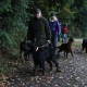 RRS_Fotogalerien_2013-10-13_Halloween-Walk046