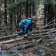 RRS_Fotogalerien_2013-11-03_Wald-Agility025