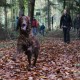 RRS_Fotogalerien_2013-11-03_Wald-Agility027