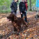 RRS_Fotogalerien_2013-11-03_Wald-Agility041