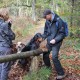 RRS_Fotogalerien_2013-11-03_Wald-Agility067