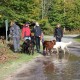 RRS_Fotogalerien_2013-11-03_Wald-Agility082