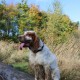 RRS_Fotogalerien_2013-11-03_Wald-Agility088
