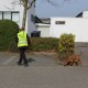 RRS_Fotogalerien_2014-03-30_Mantrailing017