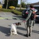RRS_Fotogalerien_2014-03-30_Mantrailing030
