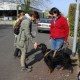 RRS_Fotogalerien_2014-03-30_Mantrailing043