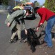 RRS_Fotogalerien_2014-03-30_Mantrailing044