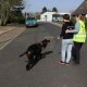 RRS_Fotogalerien_2014-03-30_Mantrailing055