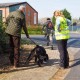 RRS_Fotogalerien_2014-03-30_Mantrailing075