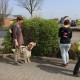 RRS_Fotogalerien_2014-03-30_Mantrailing095