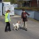 RRS_Fotogalerien_2014-03-30_Mantrailing101