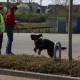 RRS_Fotogalerien_2014-03-30_Mantrailing113