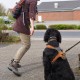 RRS_Fotogalerien_2014-03-30_Mantrailing148