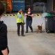 RRS_Fotogalerien_2014-03-30_Mantrailing168