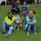 RRS_Fotogalerien_2014-06-19_Hunderennen031