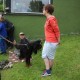 RRS_Fotogalerien_2014-06-19_Hunderennen051