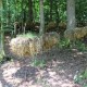 RRS_Fotogalerien_2014-07-12_KulTourPfad021