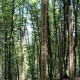 RRS_Fotogalerien_2014-07-12_KulTourPfad048
