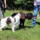 RRS_Fotogalerien_2014-07-12_KulTourPfad062