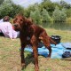 RRS_Fotogalerien_2015-07-26_Seehund-Abzeichen251