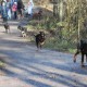 RRS_Fotogalerien_2016-01-10_Muengstener_Bruecke065